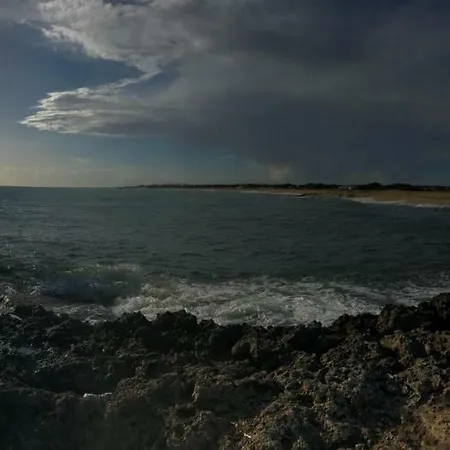 Li Caseddi Ti Lu Cesarinu 3*