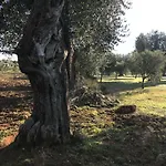 Li Caseddi Ti Lu Cesarinu 3*
