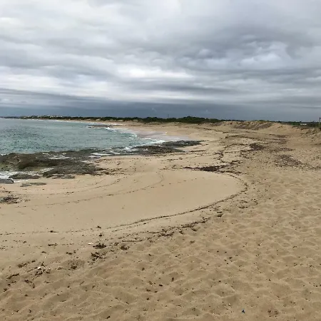 Li Caseddi Ti Lu Cesarinu Avetrana